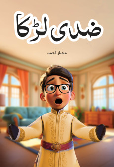 Book cover for Ziddi Larka