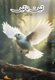 Book cover for Teen Baatein