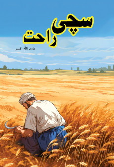 Book cover for Sachi Raahat