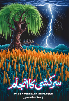 Book cover for Sarkashi Ka Anjam