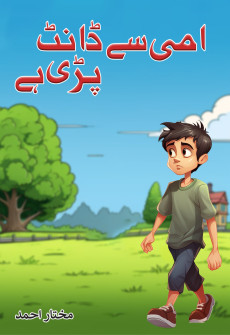 Book cover for Ami se Daant Pari Hai