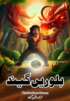 Book cover for Baloori Gaind