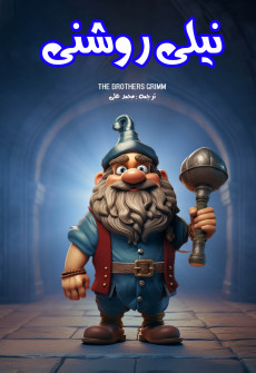 Book cover for Neeli Roshni