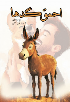 Book cover for Ahmaq Gadha