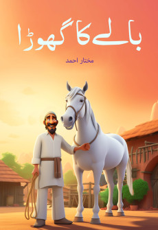 Book cover for Baley ka Ghora