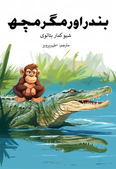 Book cover for Bandar aur Magar Machh