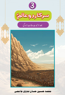 Book cover for Sarkar-e-Do Alam (SAW) Part 3