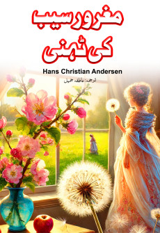 Book cover for Maghroor Saib Ki Tehni