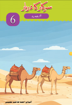 Book cover for Sarkar ka Darbar Part 6