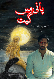 Book cover for Pani Main Geet