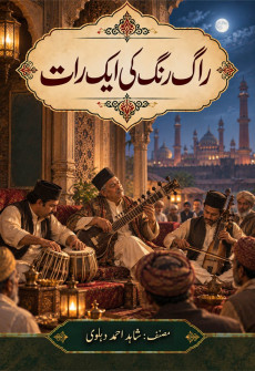 Book cover for Raag Rang Ki Ek Raat