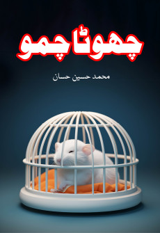 Book cover for Chota Chammu