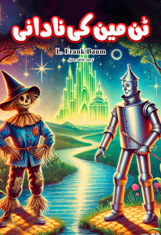 Book cover for Tin Man Ki Nadani