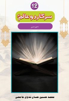 Book cover for Sarkar-e-Do Alam (SAW) Part 12