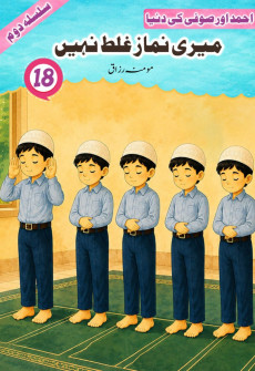 Book cover for Meri Namaz Ghalat Nahin