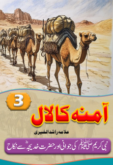 Book cover for Aamina Ka Laal Part 3