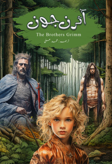 Book cover for Iron John