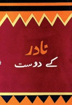 Book cover for Nadir Kay Dost