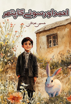 Book cover for Ahmad Aur Sony Ka Pathar