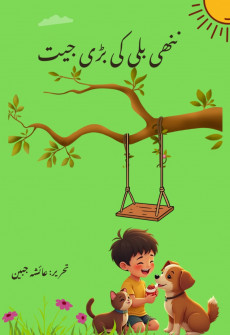Book cover for NANNHI BILLI KI BARI JEET