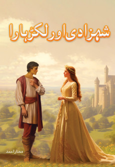 Book cover for Shahzadi aur Lakarhaara