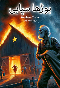 Book cover for Boorha Sipahi