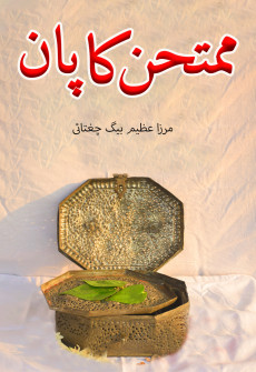 Book cover for Mumtahin Ka Paan
