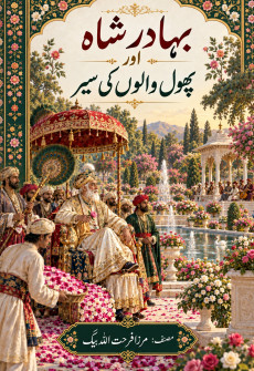 Book cover for Bahadur Shah aur Phool Walon Ki Sair