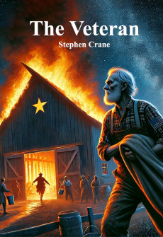 Book cover for The Veteran