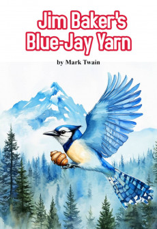 Book cover for Jim Baker's Blue-Jay Yarn