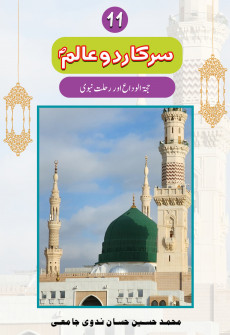 Book cover for Sarkar-e-Do Alim Part 11
