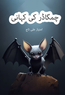 Book cover for Chamgadar ki Kahani