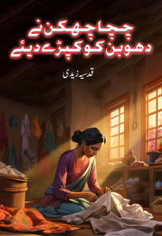 Book cover for Chacha Chakkan Ne Dhoban Ko Kapry Diay
