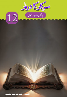 Book cover for Sarkar ka Darbar Part 12