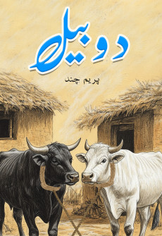 Book cover for Do Bail