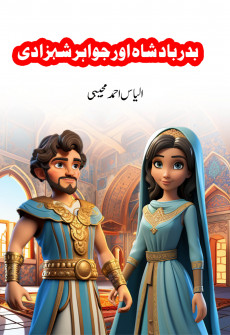 Book cover for Badar Badshah Aur Jawahir Shahzadi