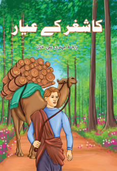 Book cover for Kashgar ke Ayyar