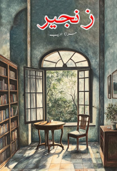 Book cover for Zanjeer