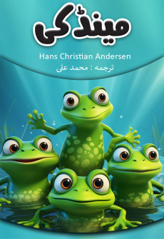 Book cover for Maindki