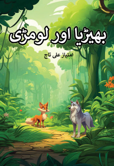 Bhariya aur Loomdi