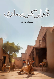 Book cover for Doli ki Bemari