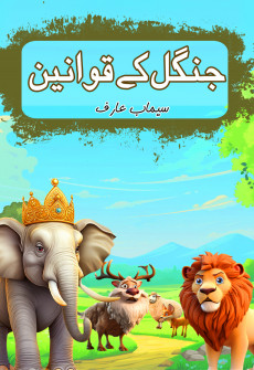 Book cover for Jungle Key Qawaneen