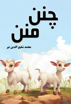 Book cover for Chann Mann