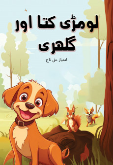 Book cover for Loomri, Kutta aur Gulhari