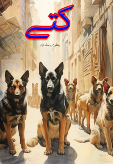 Book cover for Kutty