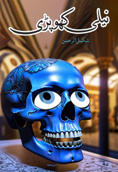 Book cover for Neeli Khopri