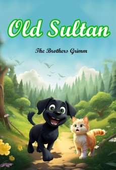 Book cover for Old Sultan
