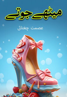 Book cover for Meethy Juty