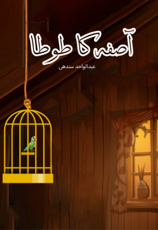 Book cover for Asifa ka Tota