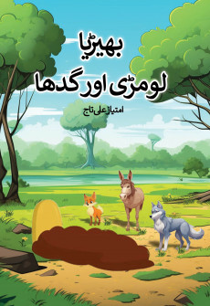 Book cover for Bhariya aur Loomdi aur Gadha